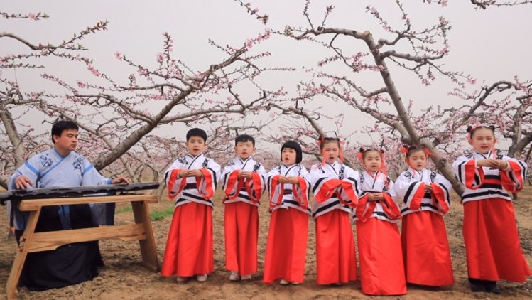 春花烂漫我最好看安阳内黄第二十届桃花节万亩桃花竞相开生态旅游惹人