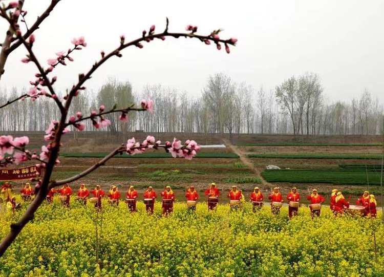 春花烂漫我最好看安阳内黄第二十届桃花节万亩桃花竞相开生态旅游惹人
