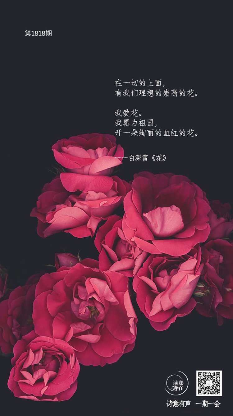 花作者 | 白深富声音 | 张议方制作 | 陈cc美编 | 陈cc-诗意心情-本