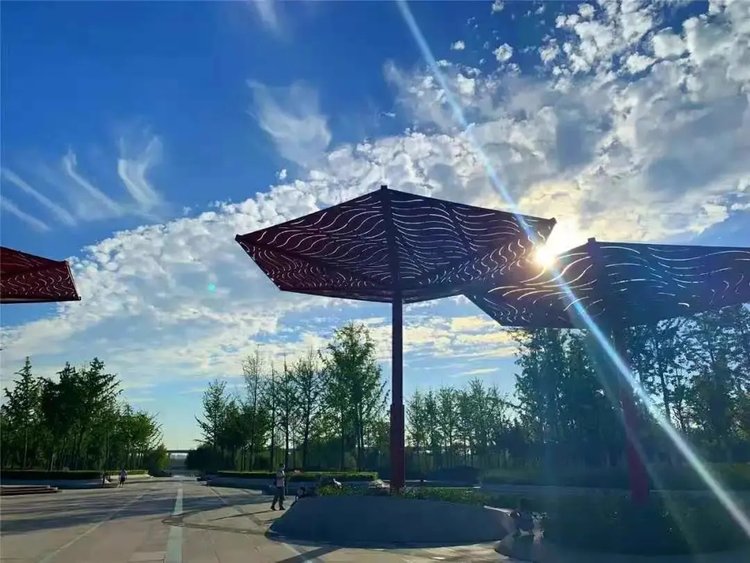 郑州又添网红公园假期最后一天赏花逛公园