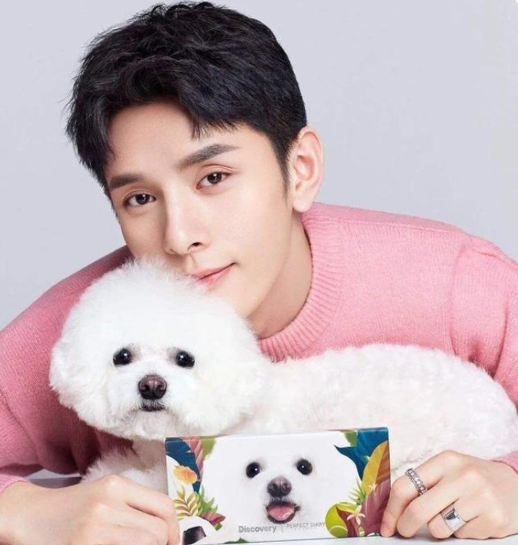 李佳琦与“小助理”付鹏合开公司，网友发现公司名暗藏玄机！