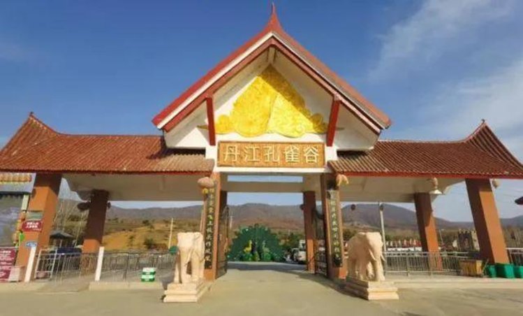 淅川老虎咬死饲养员事件进展涉事马戏团承认确系违规租赁