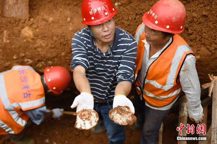 杨华峰 摄湖南省地质中学在建项目工地发现一批古墓葬.杨华峰 摄