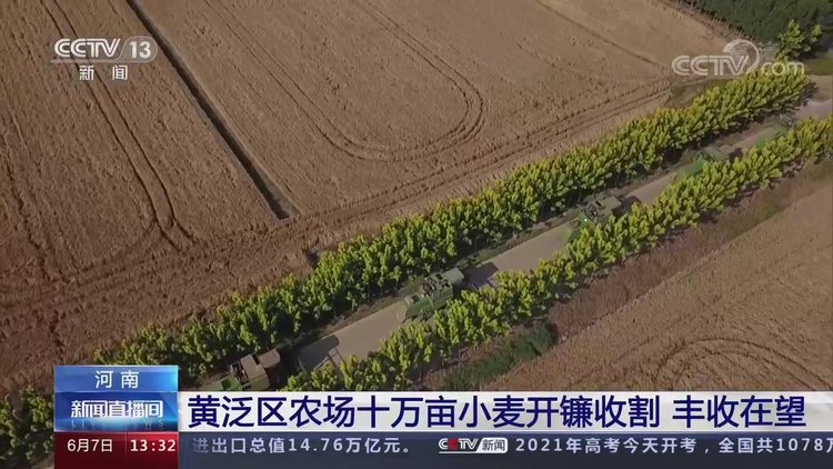 央视关注河南周口黄泛区农场十万亩小麦开镰收割丰收在望