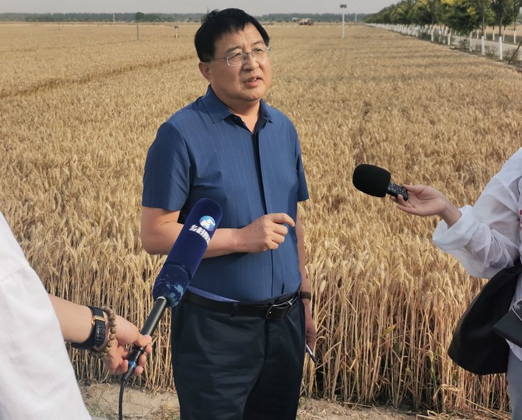 周口市农业农村局局长张华表示,今年商水县农田实现丰收,下一步将加大