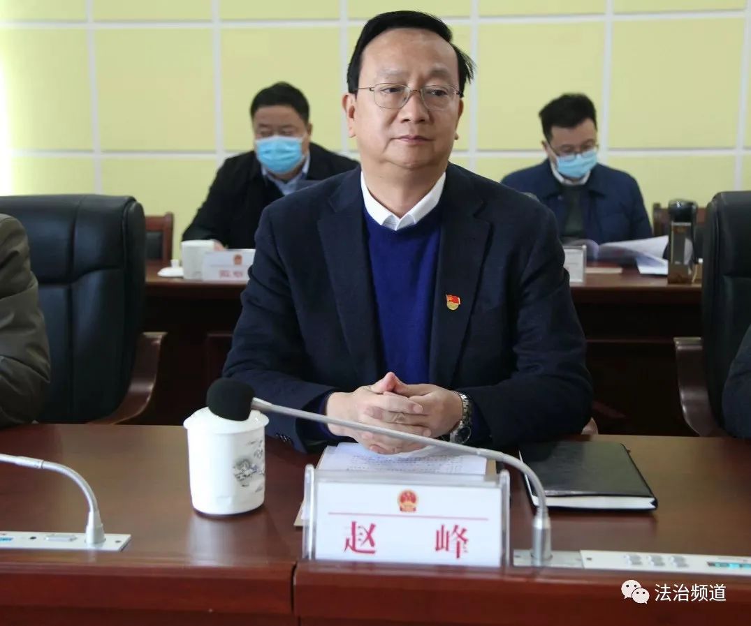 驻马店平舆县人大常委会任命孔杰为平舆县人民政府副县长县公安局局长