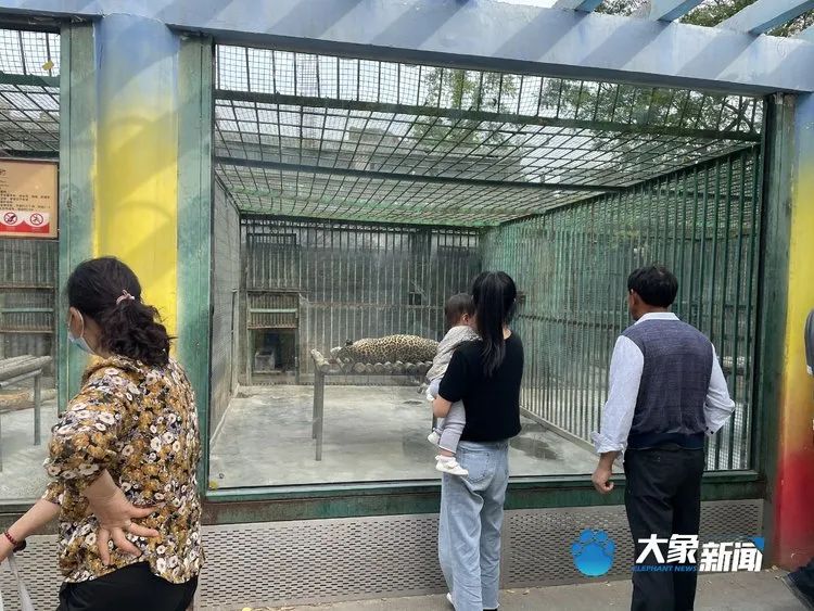 金钱豹出逃引热议：郑州动物园游玩安全吗？猛兽出逃可能吗？